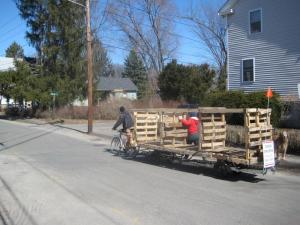 Moving newly constructed compost bins